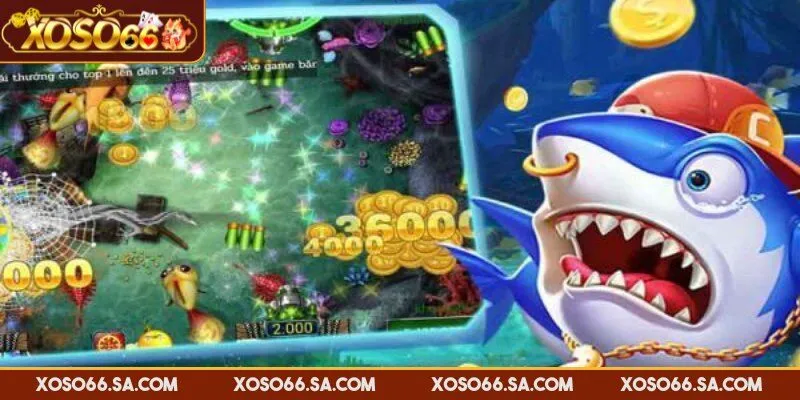 Bắn Cá Đổi Thưởng Xoso66 Hấp Dẫn, Dễ Chơi Dễ Trúng Lớn 3 Hướng dẫn cách chơi với những chiến thuật hay