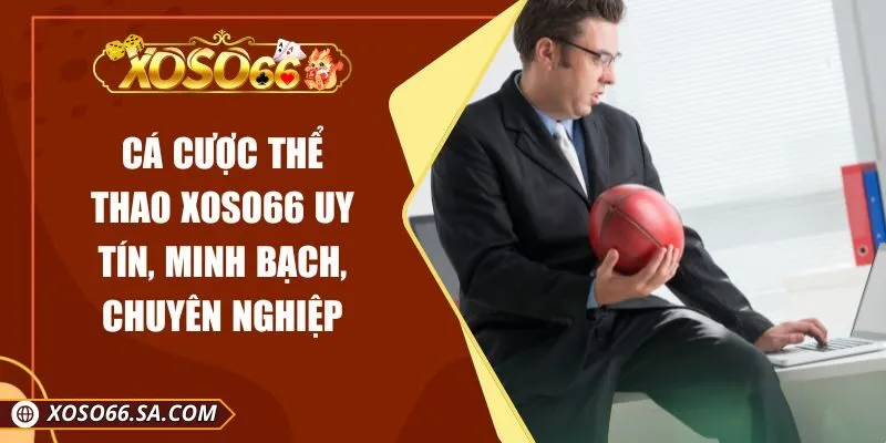 Cá Cược Thể Thao XOSO66 Uy Tín, Minh Bạch, Chuyên Nghiệp