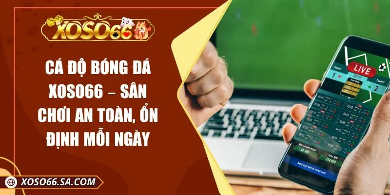 Cá Độ Bóng Đá XOSO66 – Sân Chơi An Toàn, Ổn Định Mỗi Ngày