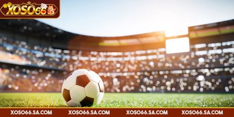 XOSO66 Cá Cược Thể Thao Đa Dạng, Tỷ Lệ Cạnh Tranh Cao 2 XOSO66 cá cược thể thao đầu tư công nghệ trực tiếp